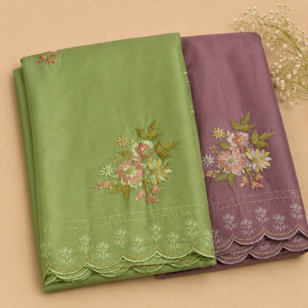 Embroidery on Organza Saree